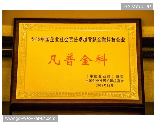 体育社会企业探索普惠运营,兼顾公共服务与市场效益。